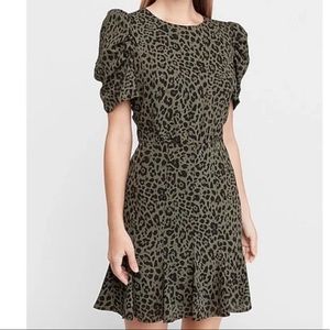 NWT Express Dress